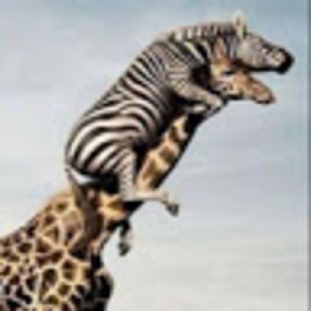 Meet your Posher, Potato